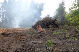 NiR-2023-04-04 - Lera S - Burning forest-a7rawg2c1k.jpg