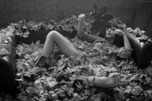 Joy Lamore - Autumn Dreams - x32x7rdbgj0g7.jpg