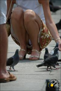 Showing Her White Panty While Feeding The Birds-a7ritjbole.jpg