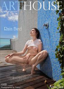 2023-09-19 Amelia - Rain Bird #6775 x148 17rlaqq6em