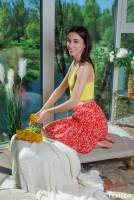 Yeva garden 26 s7sii16hco