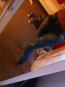 Amateur Girl -6449- p7s9fm7gac