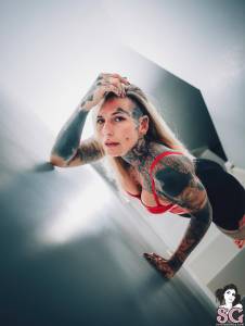 Chaviblackcat - Untamed Climb - x43 u7s9hevphs
