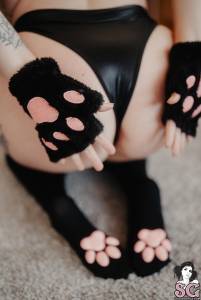 Jordanfox - Here Kitty Kitty - x45 z7sjls7m1j