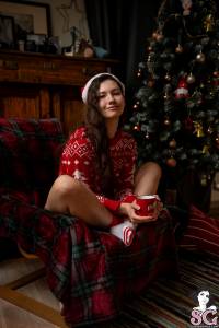 Meganflower - Christmas Magic - x45 u7sjmhqsek