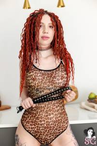 Ladyzhuk - Lets Cook! - x55 s7sk7sr35n