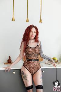 Ladyzhuk - Lets Cook! - x55 d7sk7sn1rp