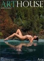 [MPLStudios] Aria - Hidden In The Hills 2 (x64) 04-09-2025 o7sqfe2inj