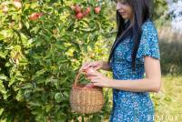 [Femjoy] Bernie - Apple Picking (x91) 05-17-2025 o7ss2uj1jx