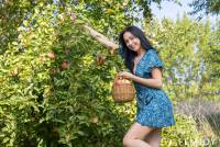 [Femjoy] Bernie - Apple Picking (x91) 05-17-2025 c7ss2ulano